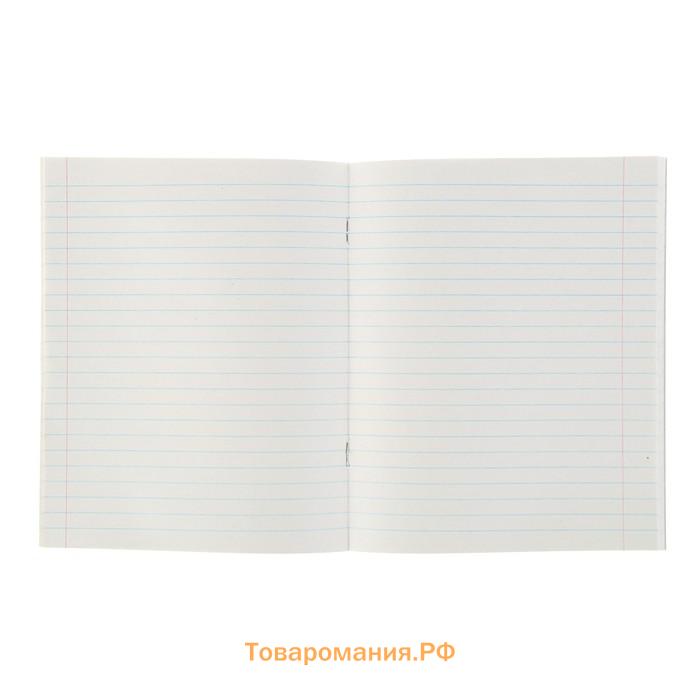 Тетрадь 48 листов в линейку Calligrata «Дикие кошки», обложка мелованная бумага, блок №2, МИКС