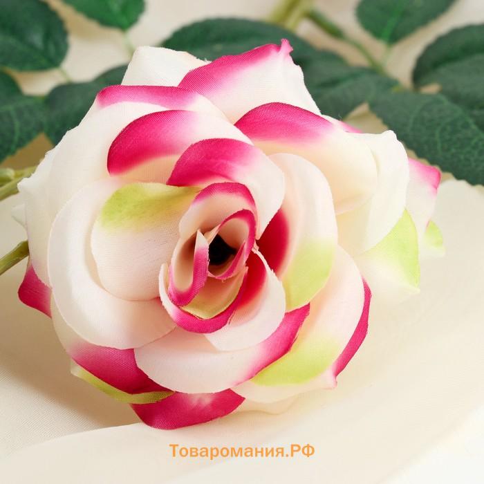 Цветы искусственные «Роза тройная», 6×61 см, бело-розовые