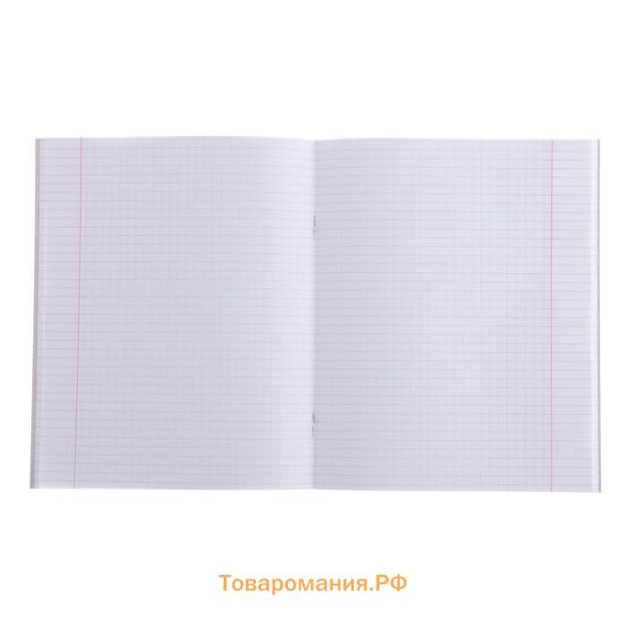 Тетрадь 48 листов в клетку, Calligrata «Банда зверей», обложка мелованный картон, МИКС