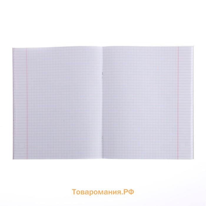 Тетрадь 48 листов в клетку, Calligrata «Инопланетные друзья», обложка мелованный картон, МИКС