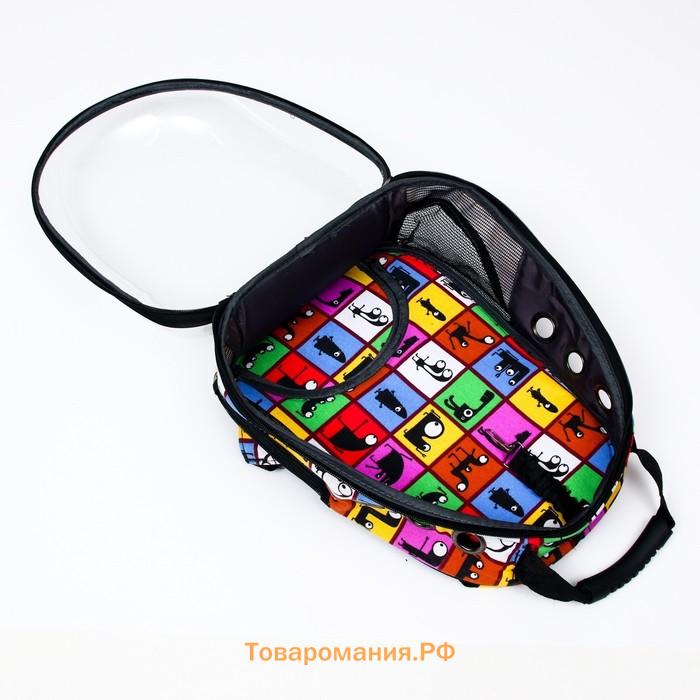 Рюкзак для переноски животных "Глазастики", прозрачный, 31 х 28 х 42 см
