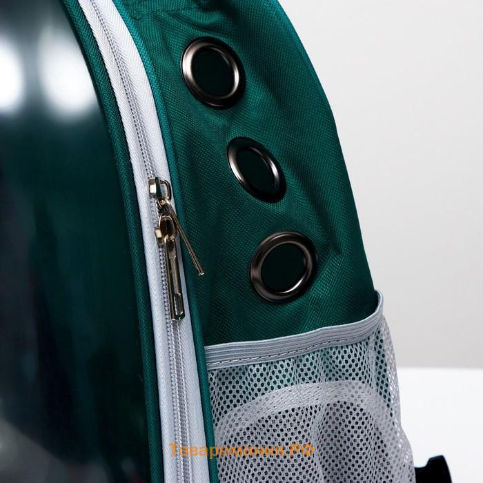 Рюкзак для переноски животных, прозрачный, 31 х 28 х 42 см, зелёный