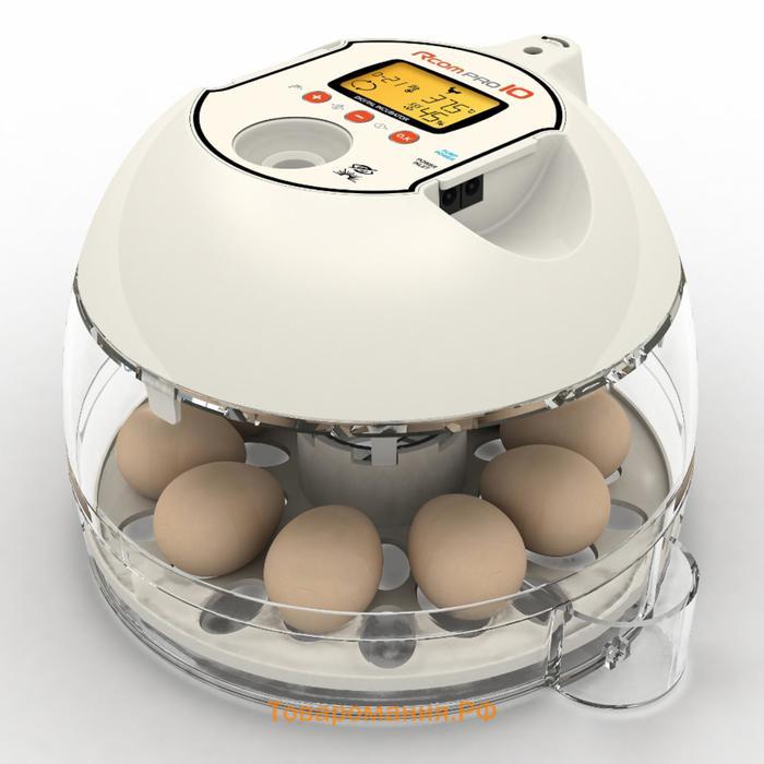 Инкубатор, на 10 яиц, автоматический переворот, 120 В, Rcom