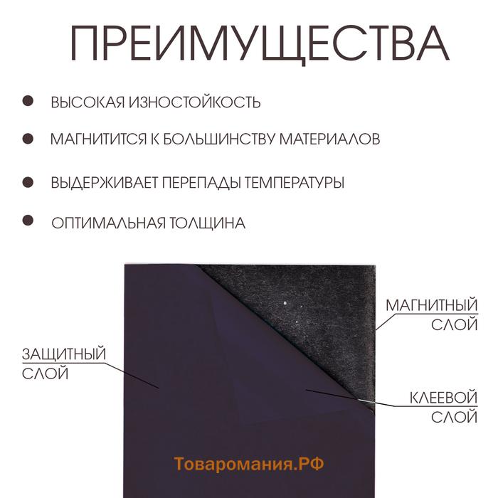 Магнитный винил, с ПВХ поверхностью, А4, 2 шт, толщина 0.3 мм, 21 х 29.7 см, черный