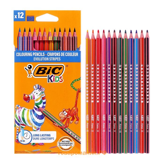 Карандаши цветные 12 цветов , BIC "Kids Evolution Stripes", пластиковые, детские