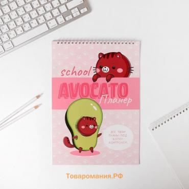 Планер школьника вертикальный А4 "Avocato планер"