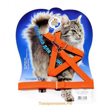 Комплект для кошек "Зооник", ширина 1,4 см, ОШ 20-28 см, ОГ 38-43 см, микс цветов