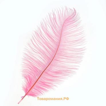 Перо для декора, размер: 25-30 см, цвет розовый
