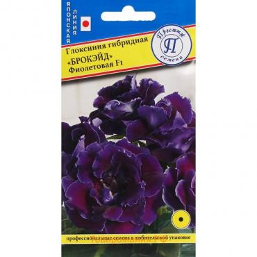 Семена цветов Глоксиния "Брокэйд", Фиолетовая, F1 , 10 шт.